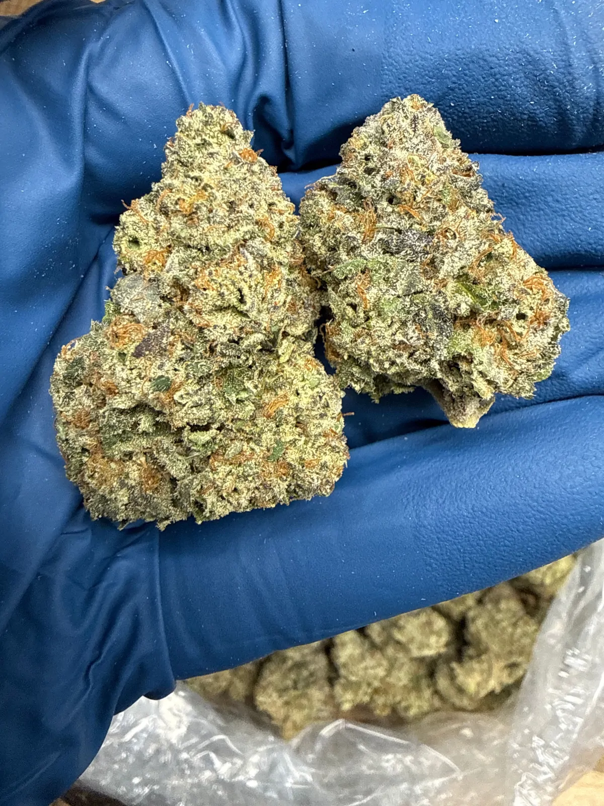 Purple Blizzard Flower